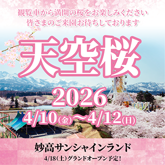 妙高サンシャインランド　観桜イベント「天空桜」